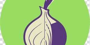 buy onion domain and hosting