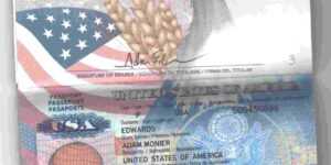 Undetectable fake us uk passports