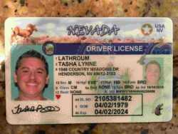 Undetectable fake ID cards